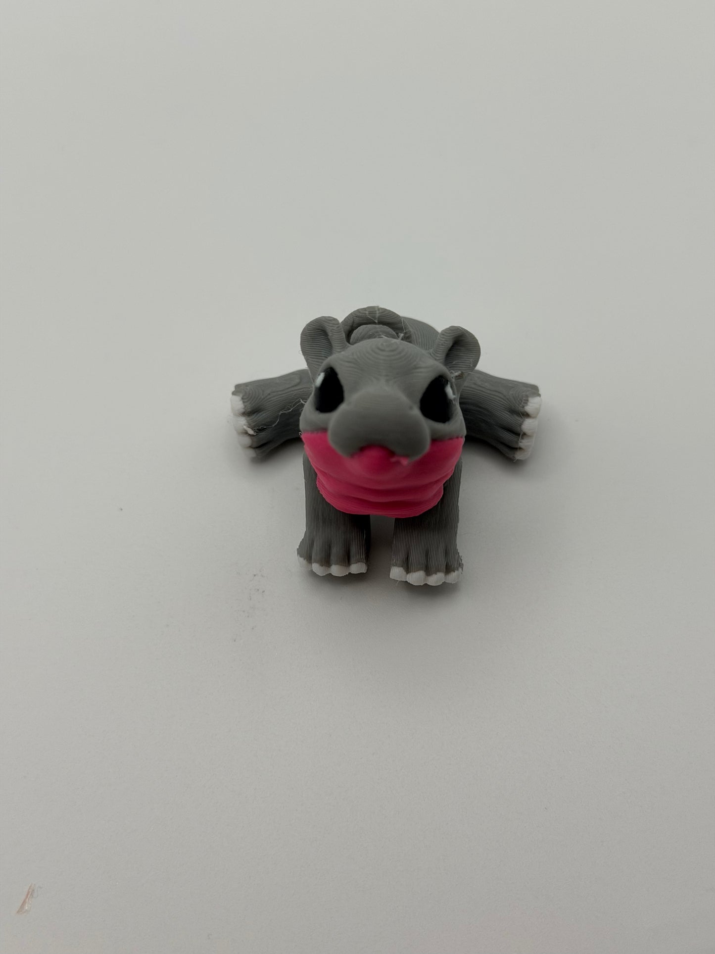 Hippo Hatchling