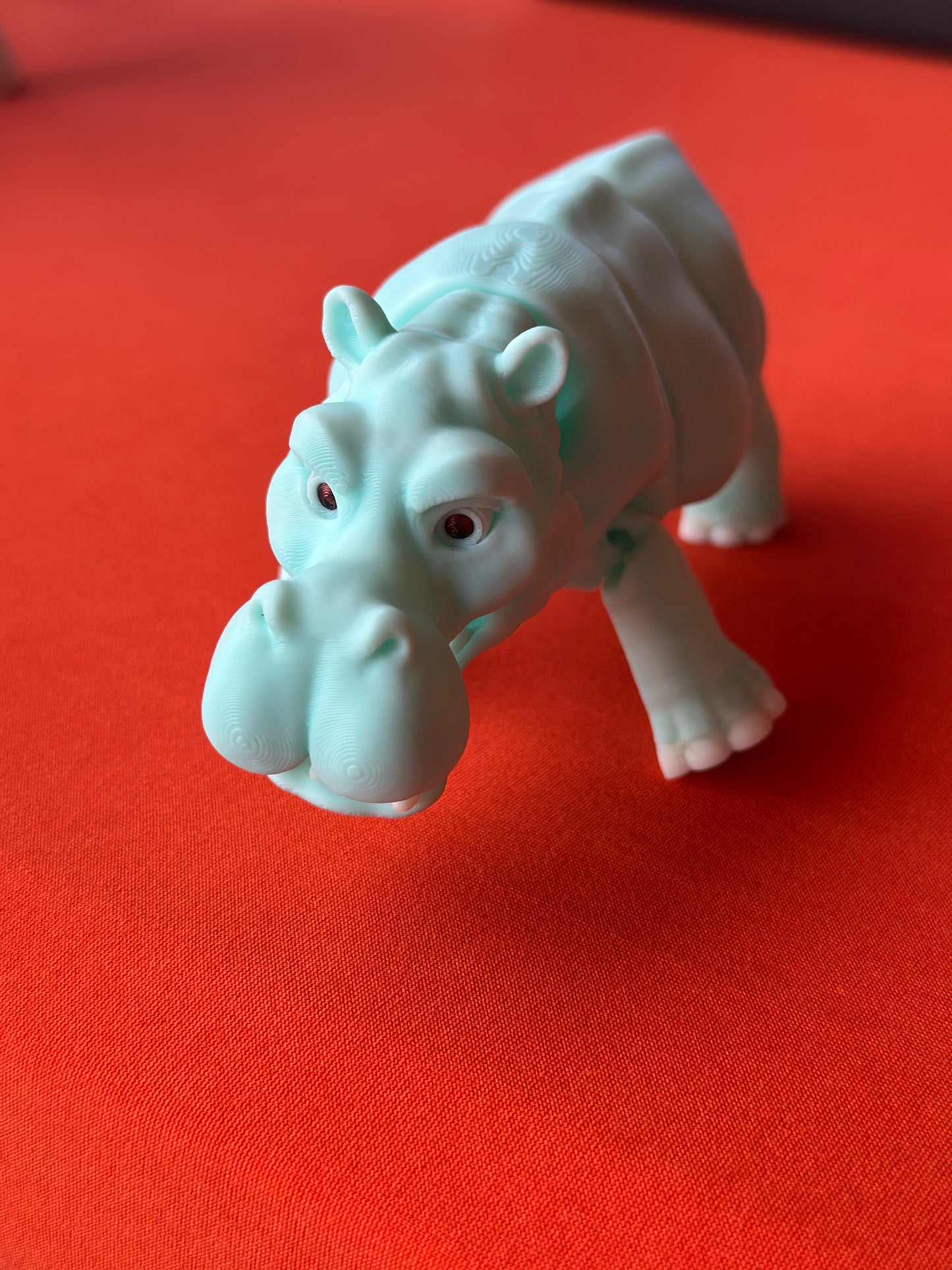 Hippopotamus