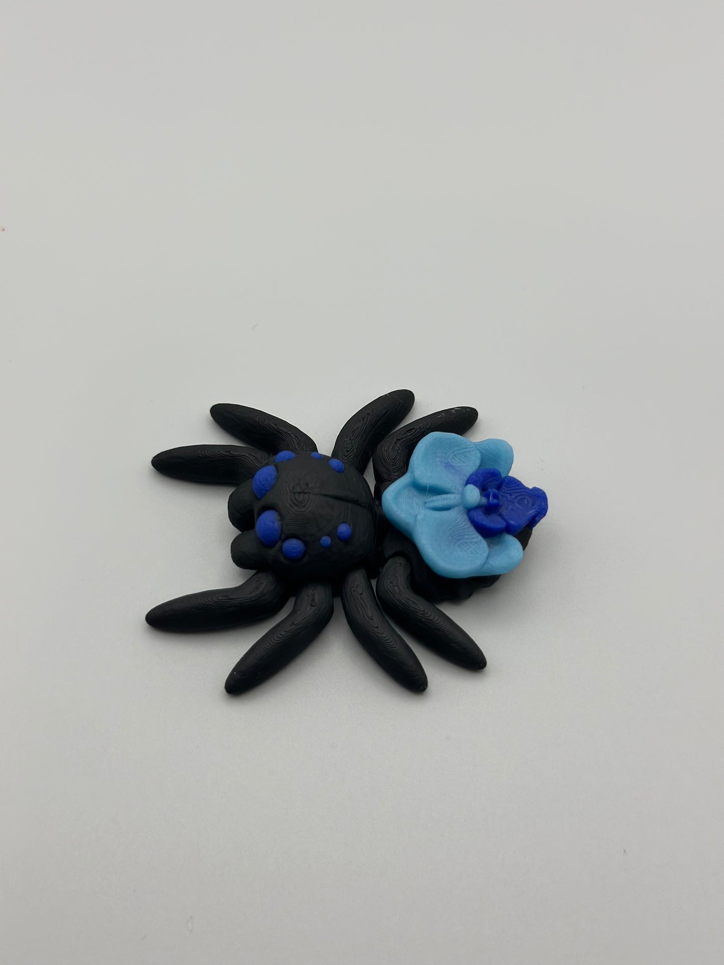 Valentine Jumping Spider