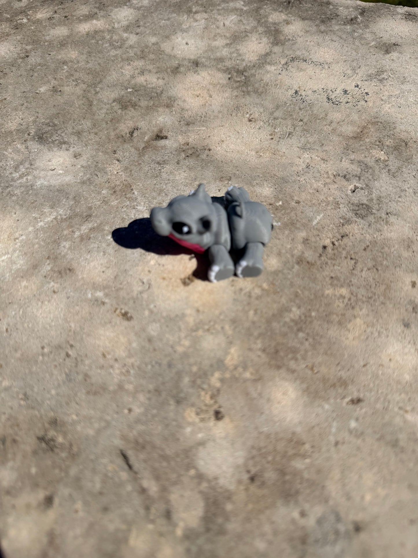 Hippo Hatchling