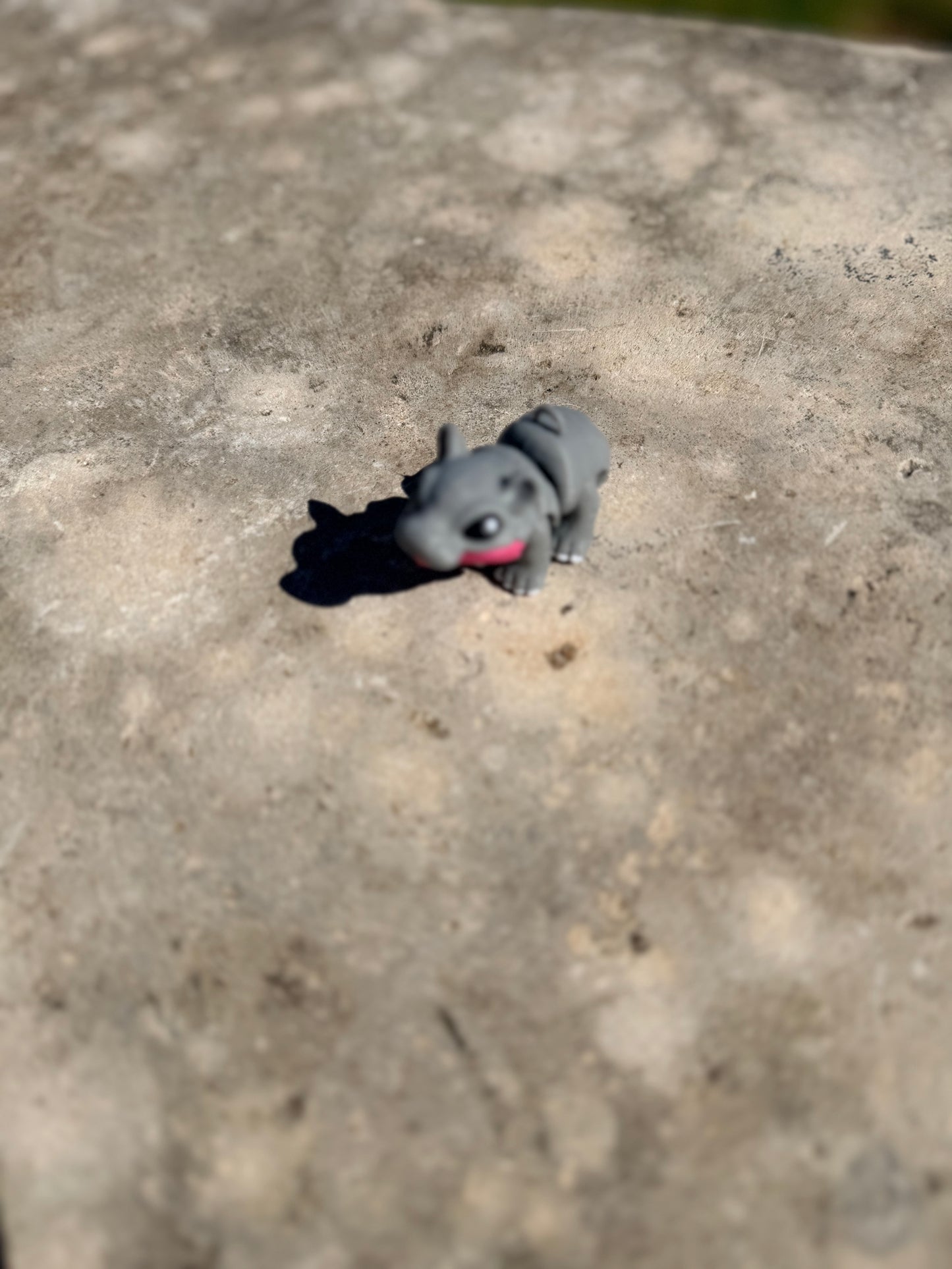 Hippo Hatchling