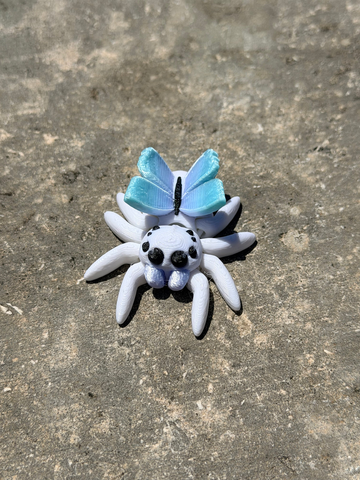 Tiny Spider