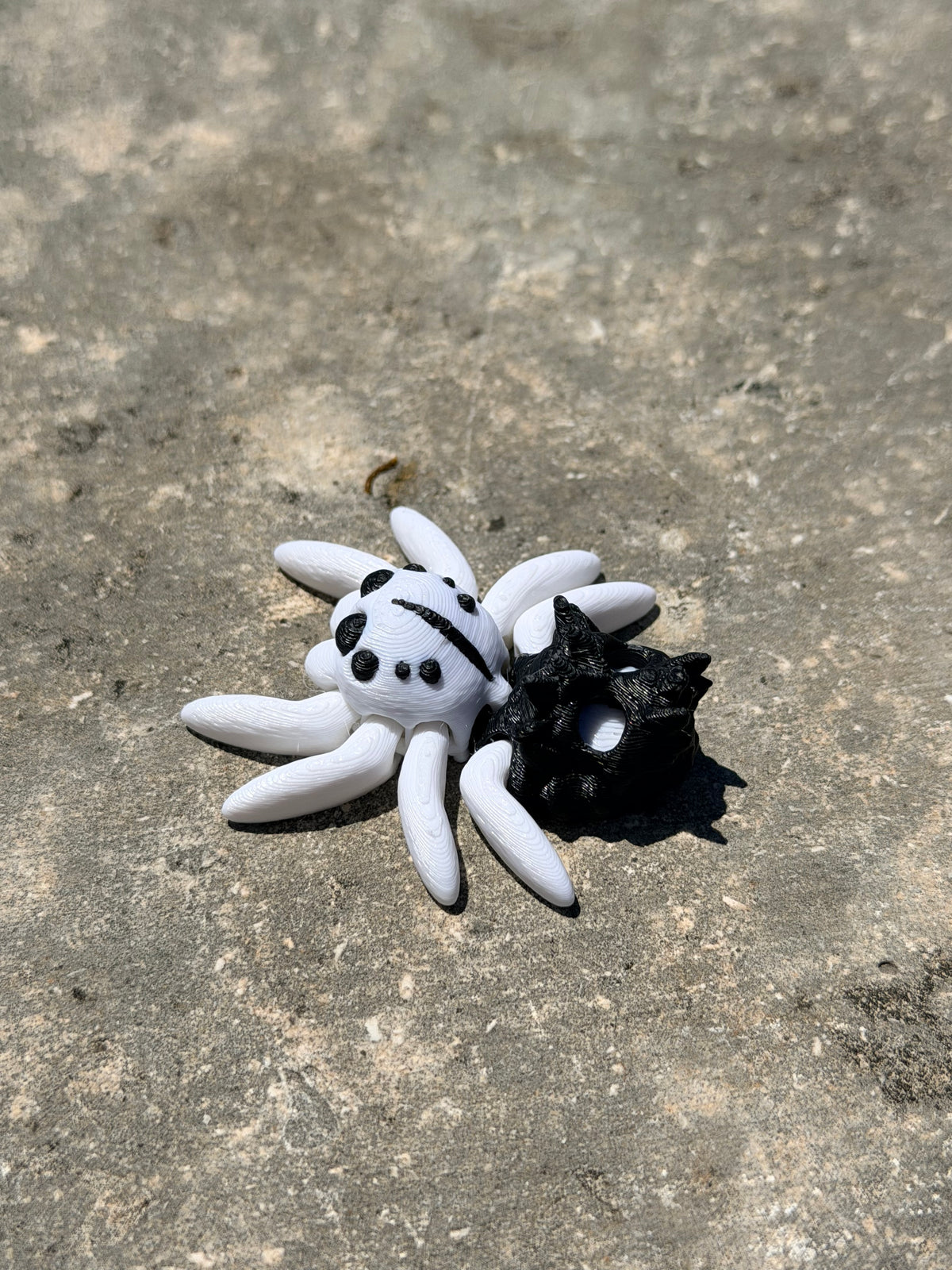Tiny Spider