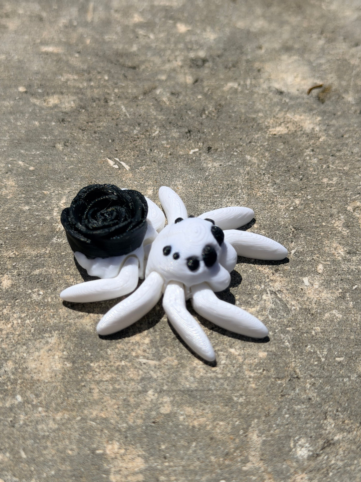 Tiny Spider