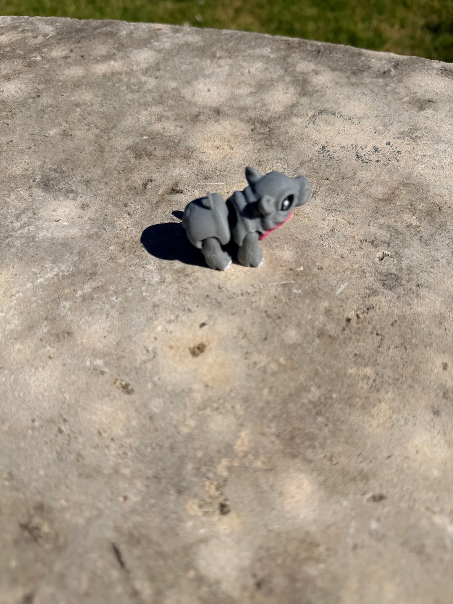 Hippo Hatchling