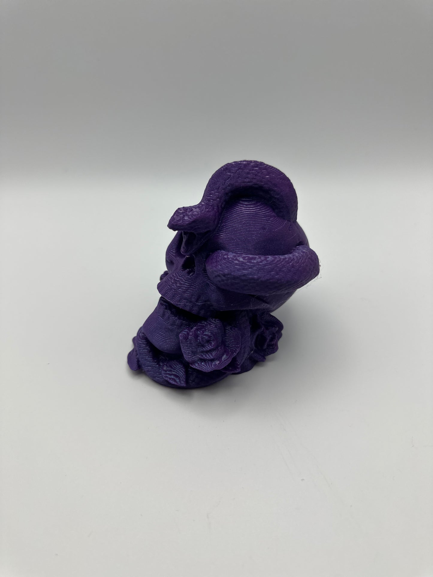 Skull with Snake & Roses