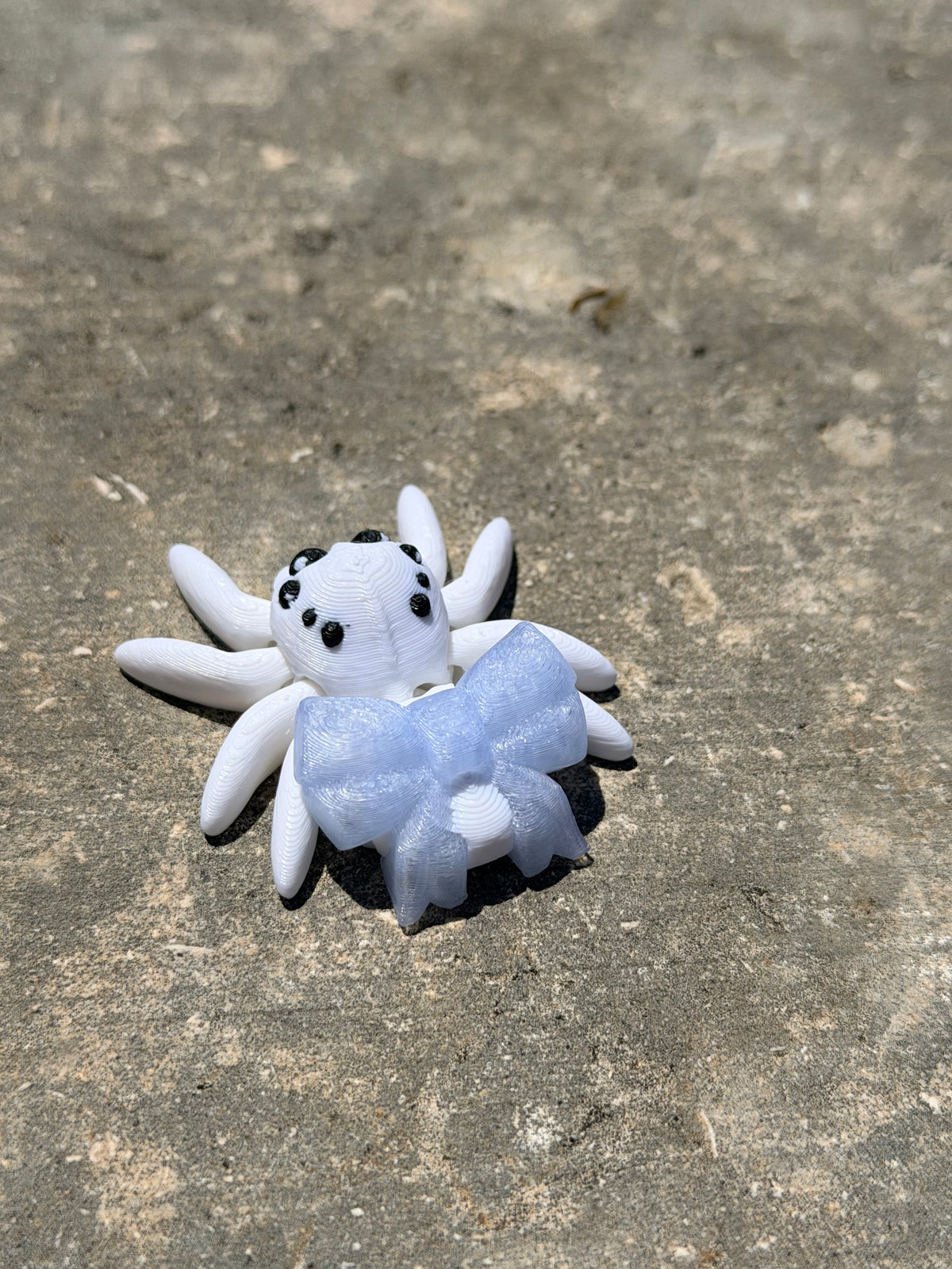 Tiny Spider