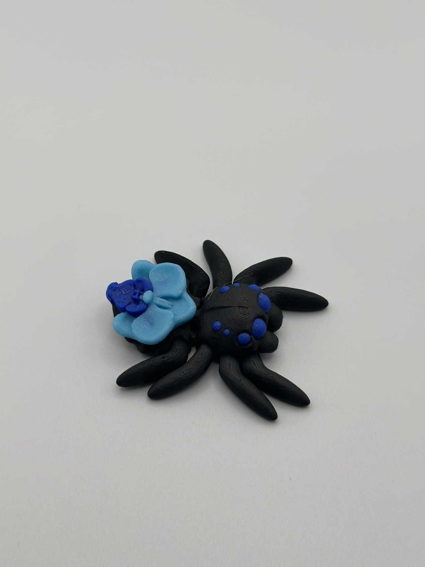 Valentine Jumping Spider