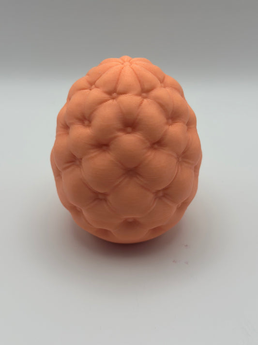 Cushioned Egg Container