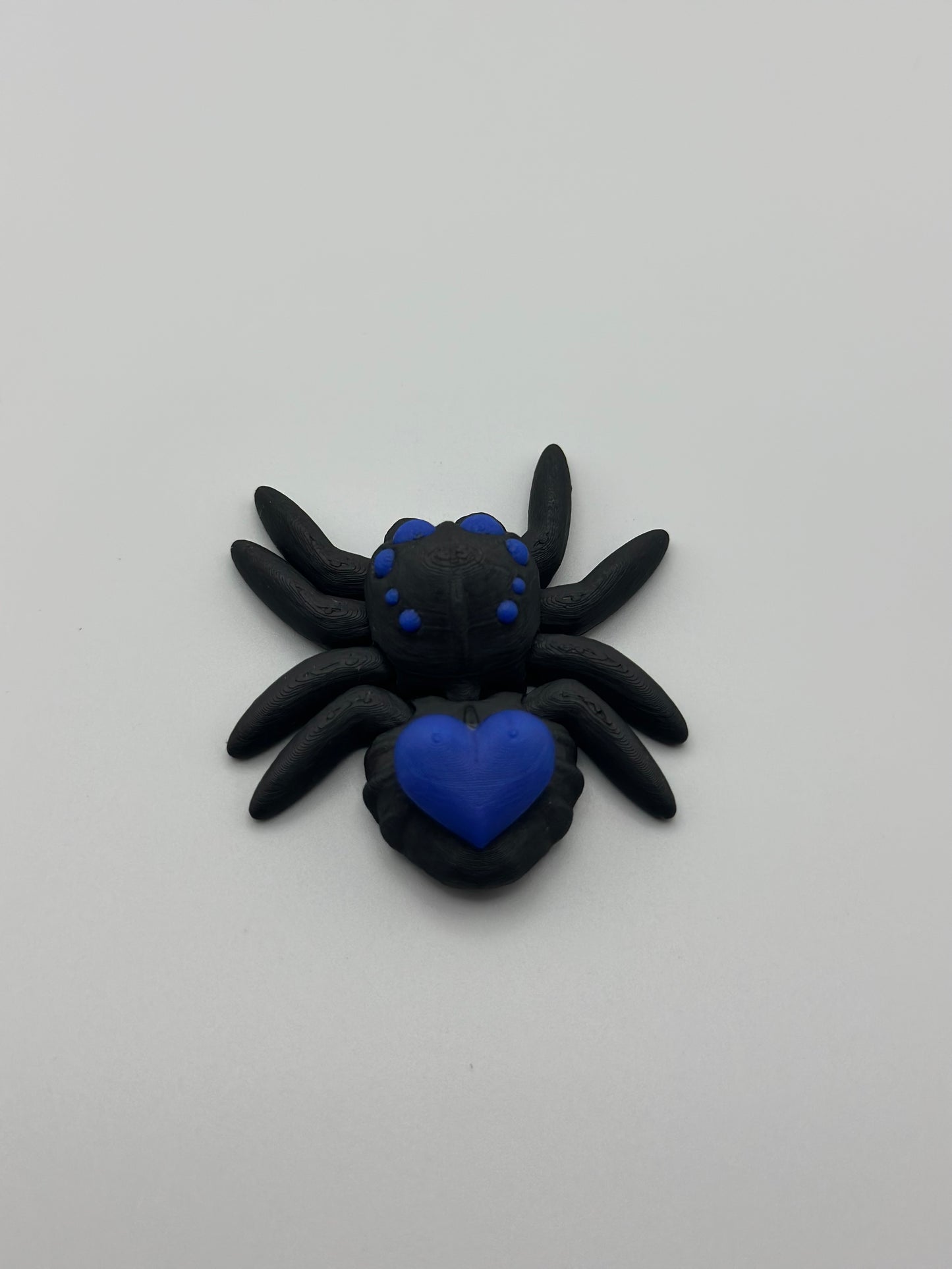 Valentine Jumping Spider