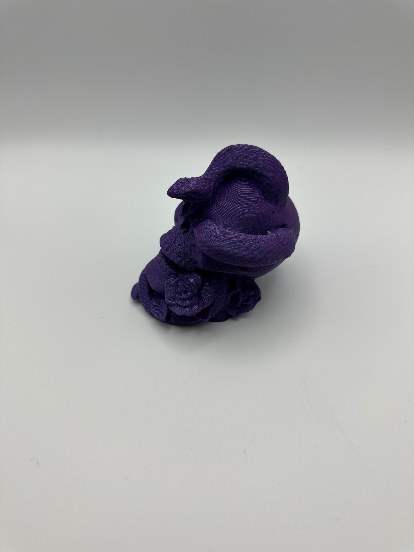 Skull with Snake & Roses