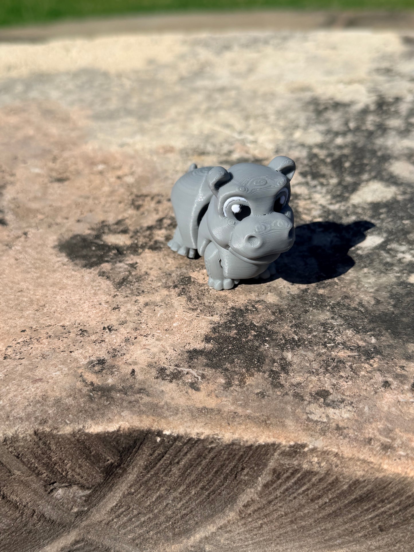 Rebel Buddy Hippo