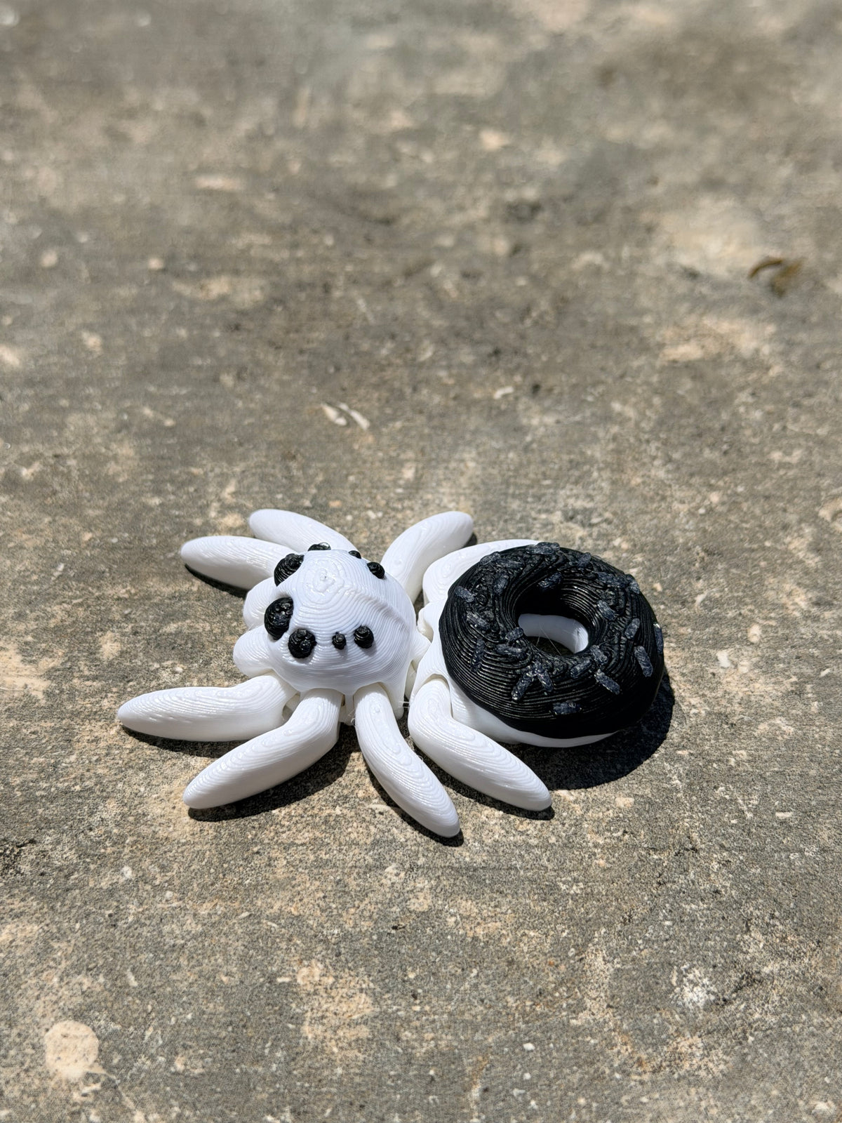 Tiny Spider