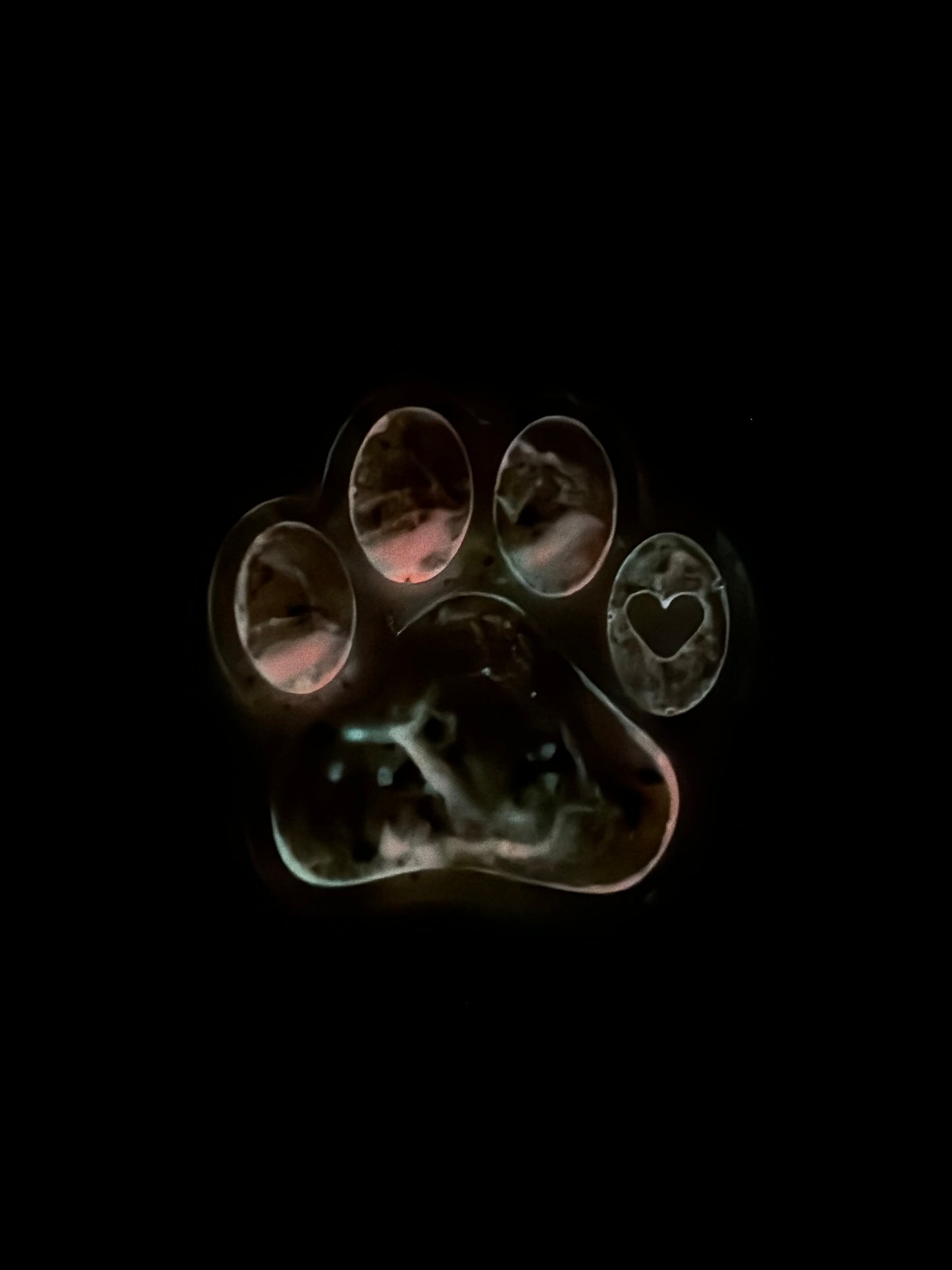 Paw Print