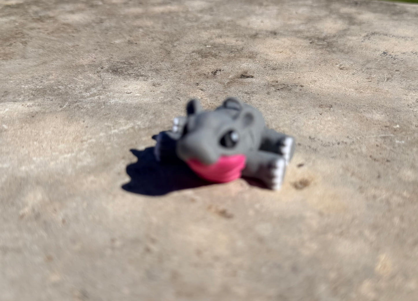 Hippo Hatchling