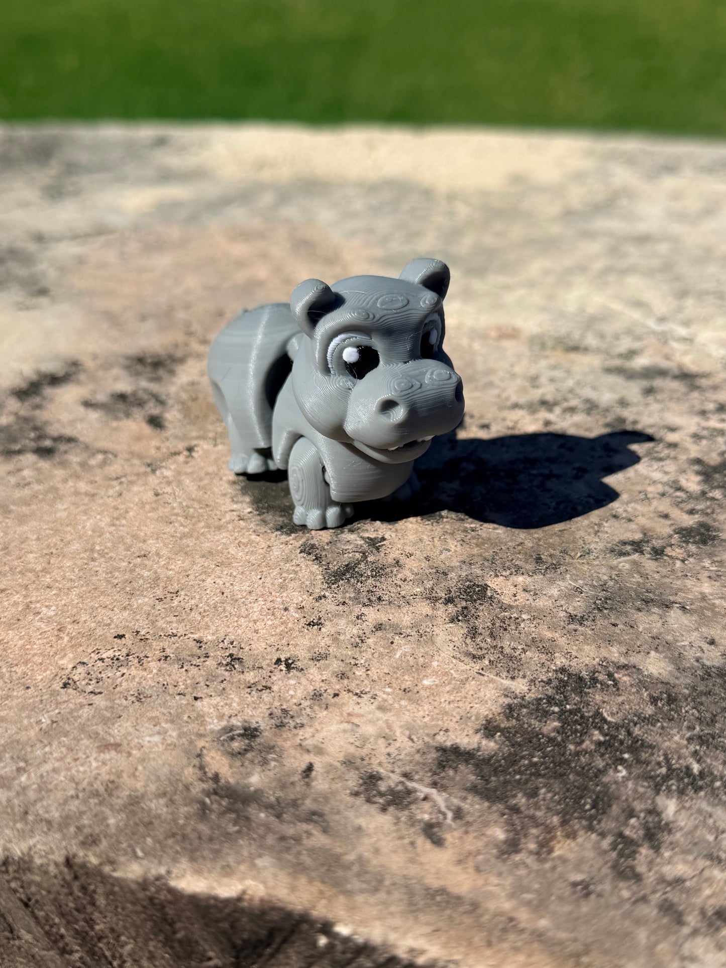 Rebel Buddy Hippo