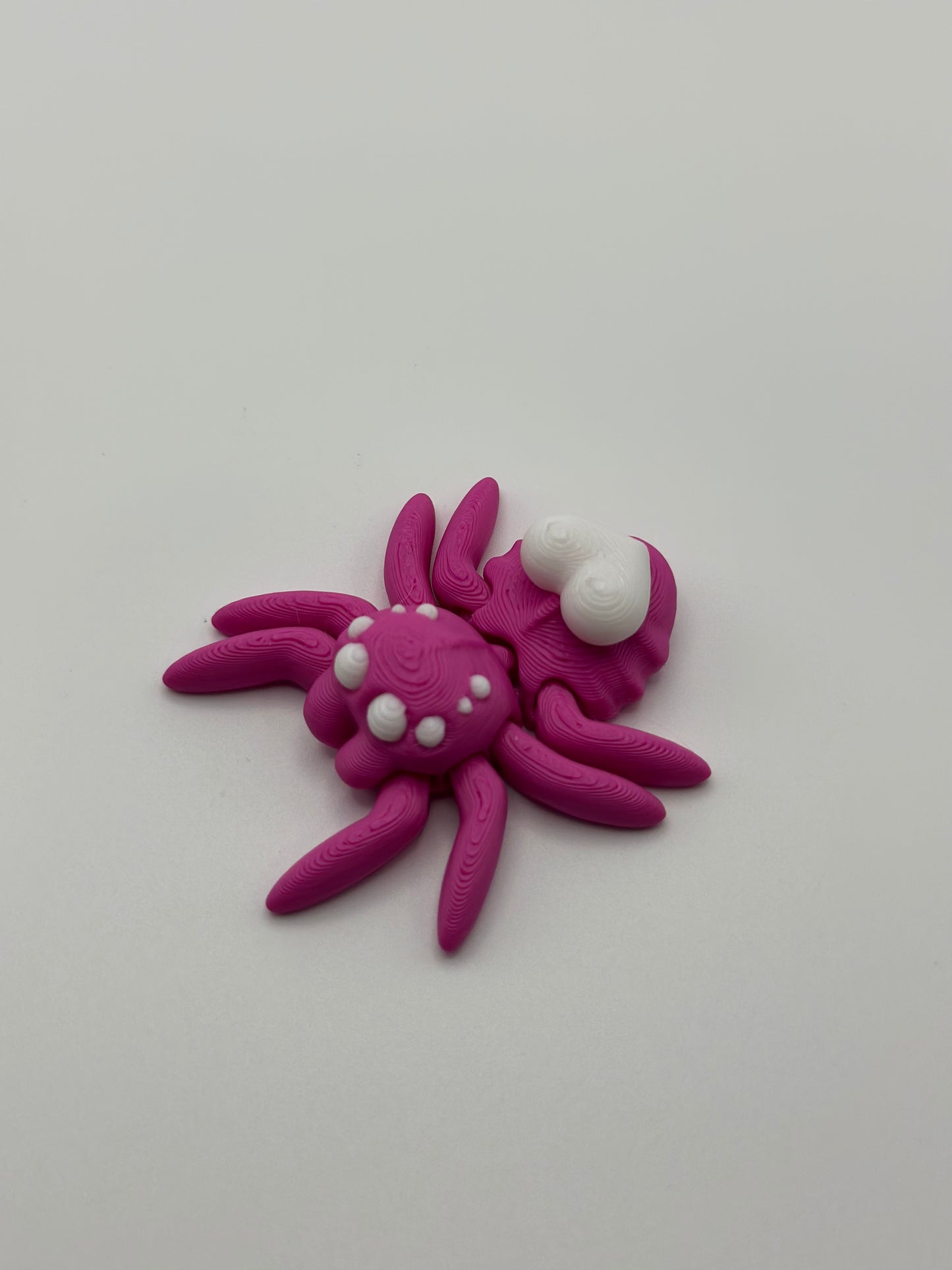 Valentine Jumping Spider