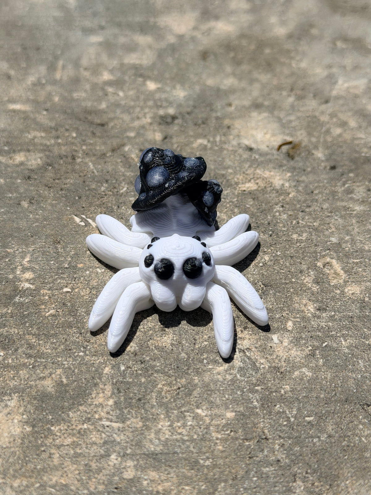 Tiny Spider