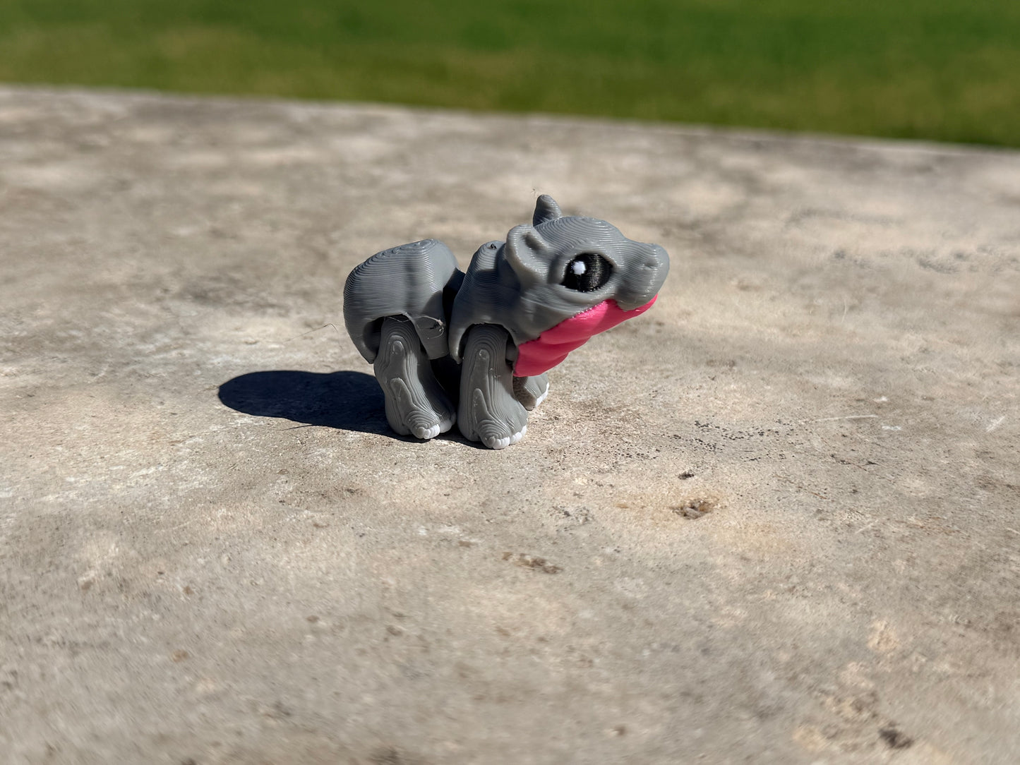 Hippo Hatchling