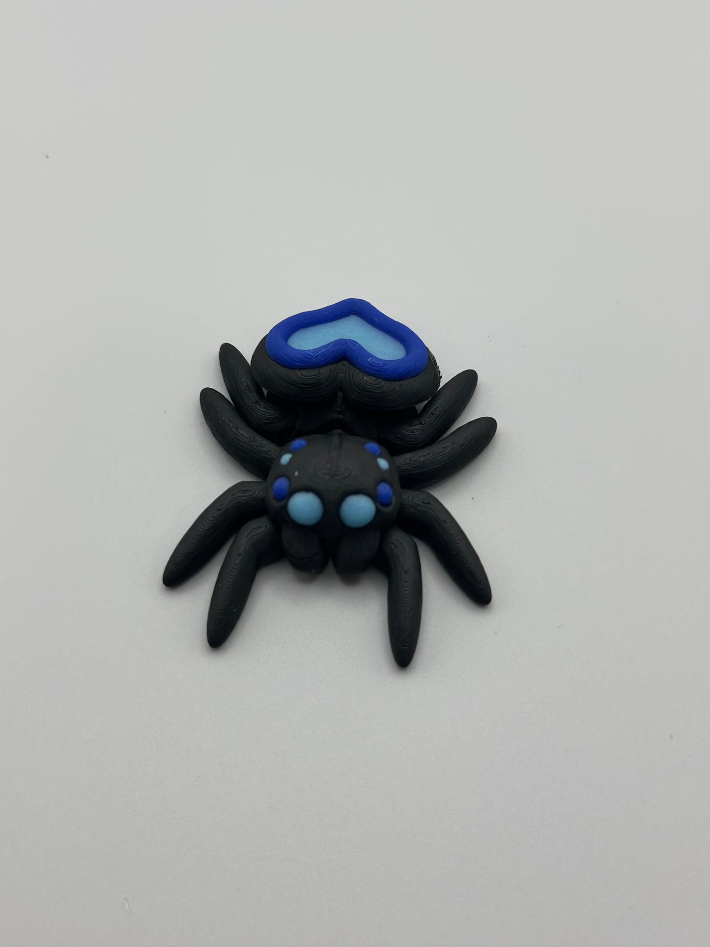 Valentine Jumping Spider