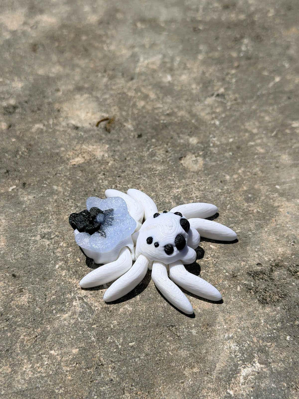 Tiny Spider