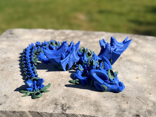 Nightwing Dragon