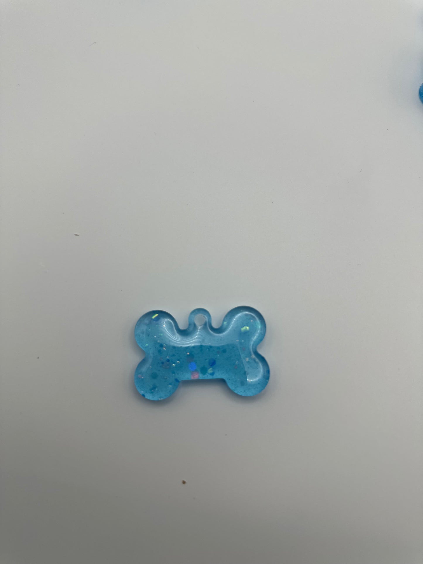 Medium Dog Bone Pet Tag