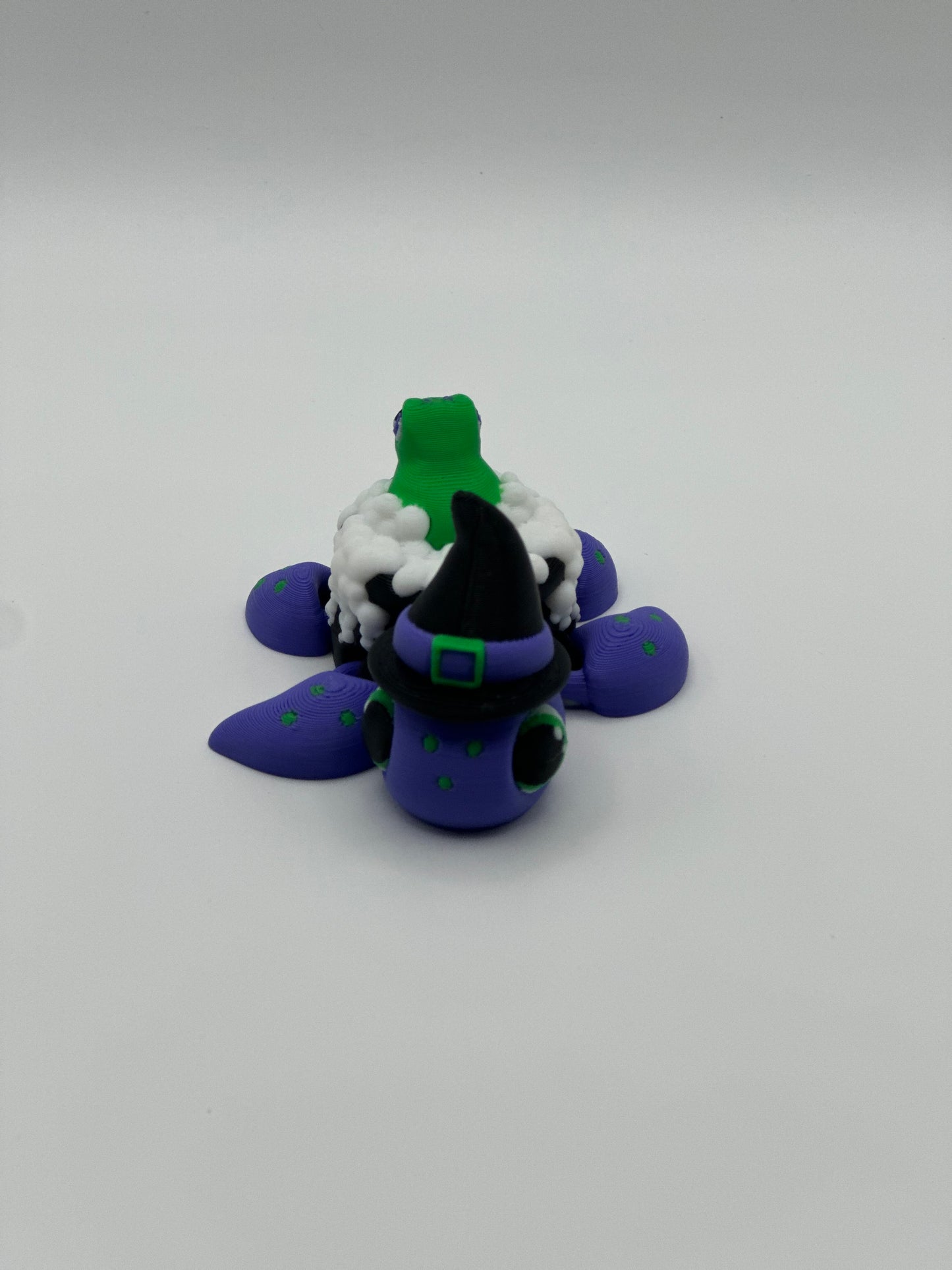 Witch Turtle