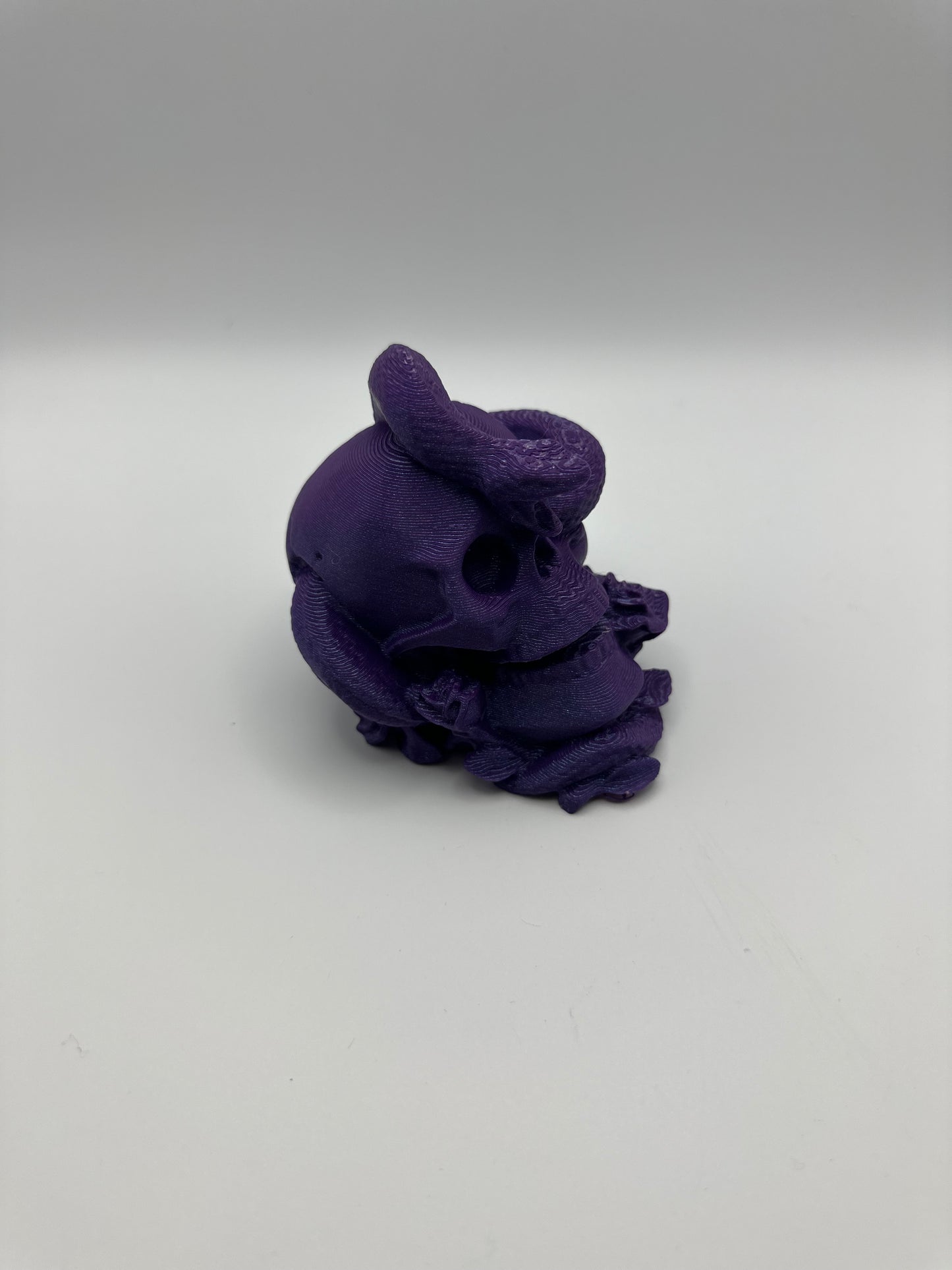 Skull with Snake & Roses