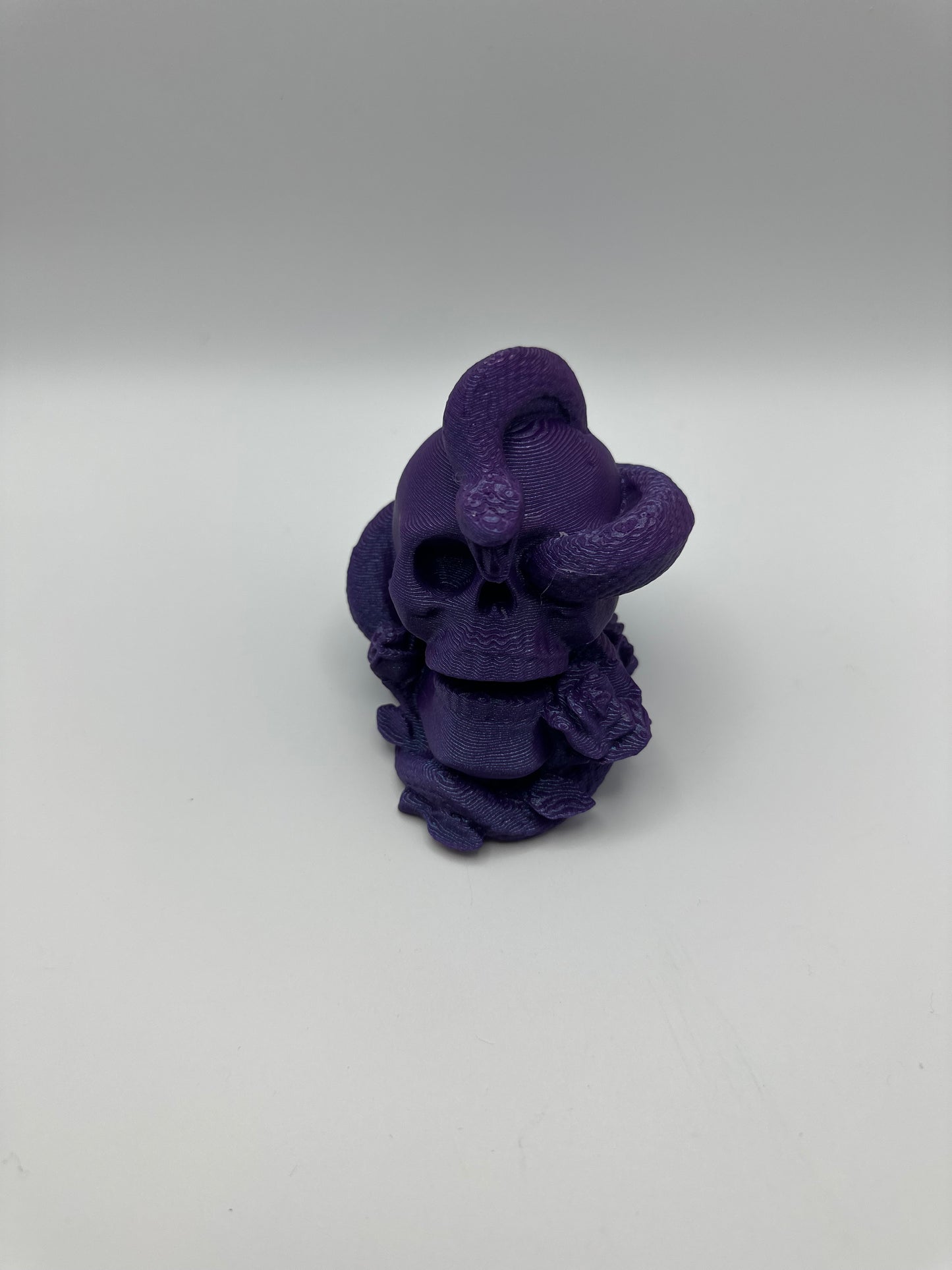 Skull with Snake & Roses