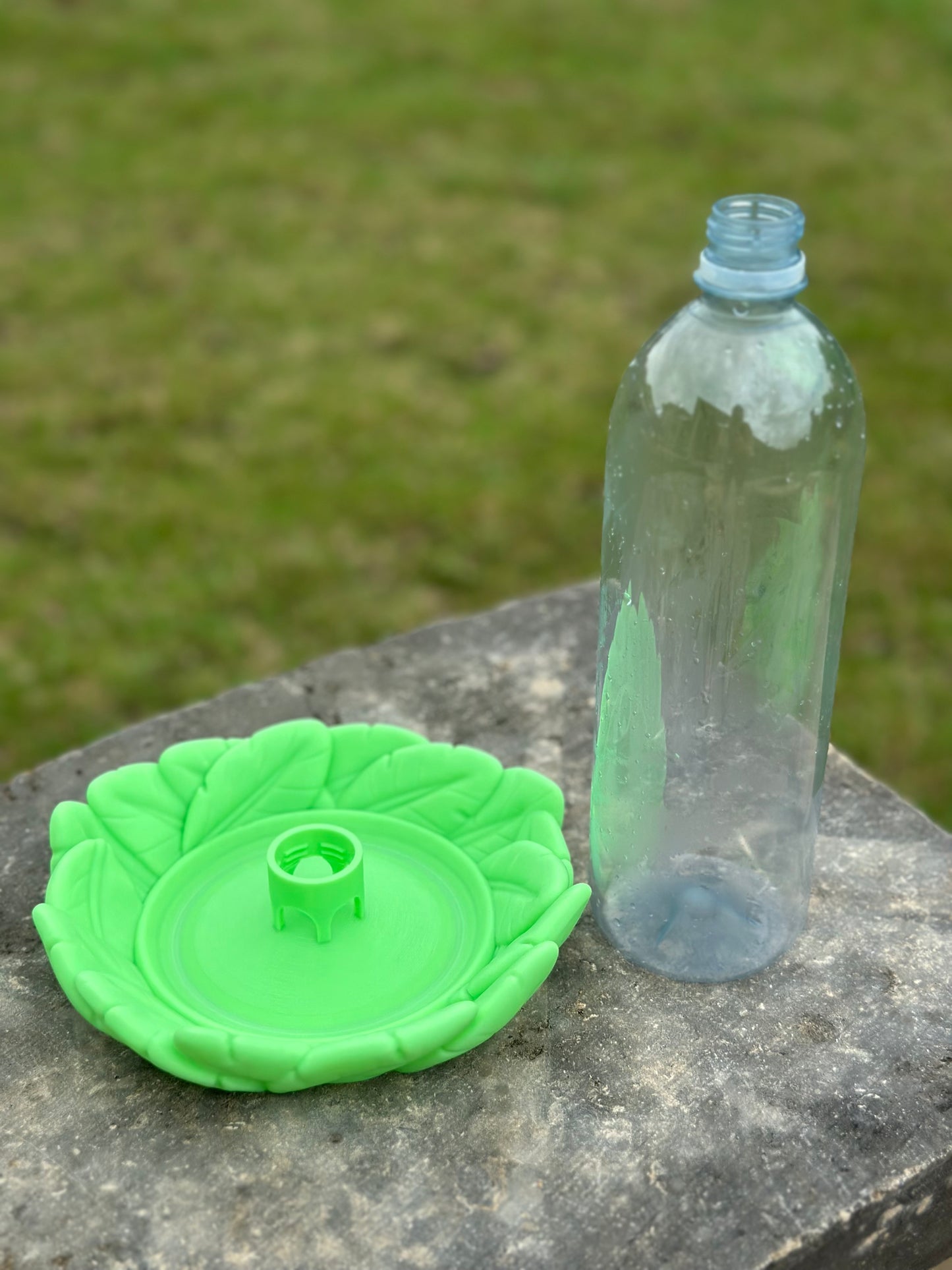 Bird Feeder in Disguise