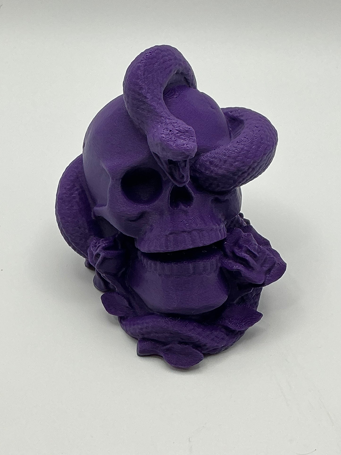 Skull with Snake & Roses