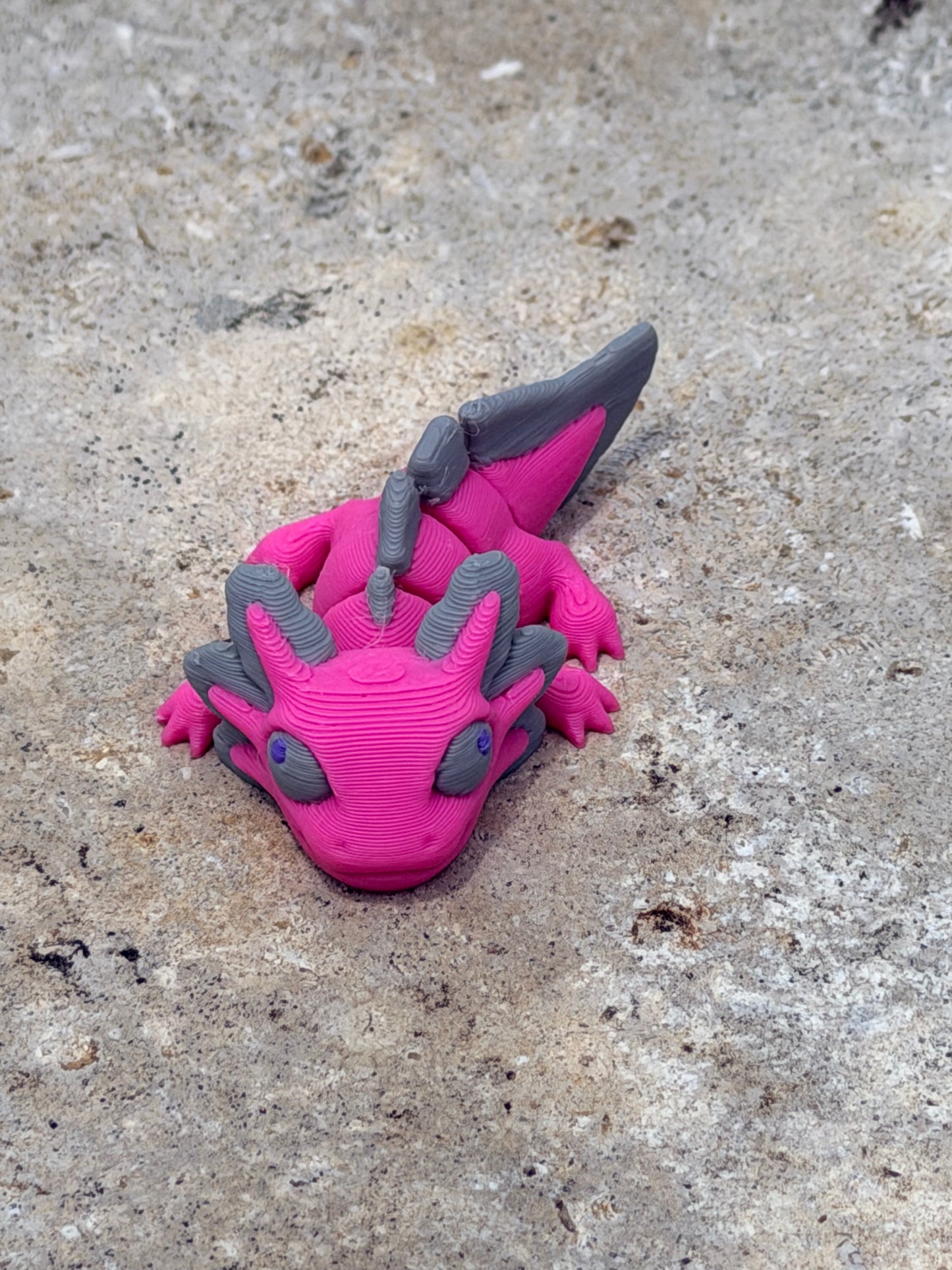 Axolotl Hatchling