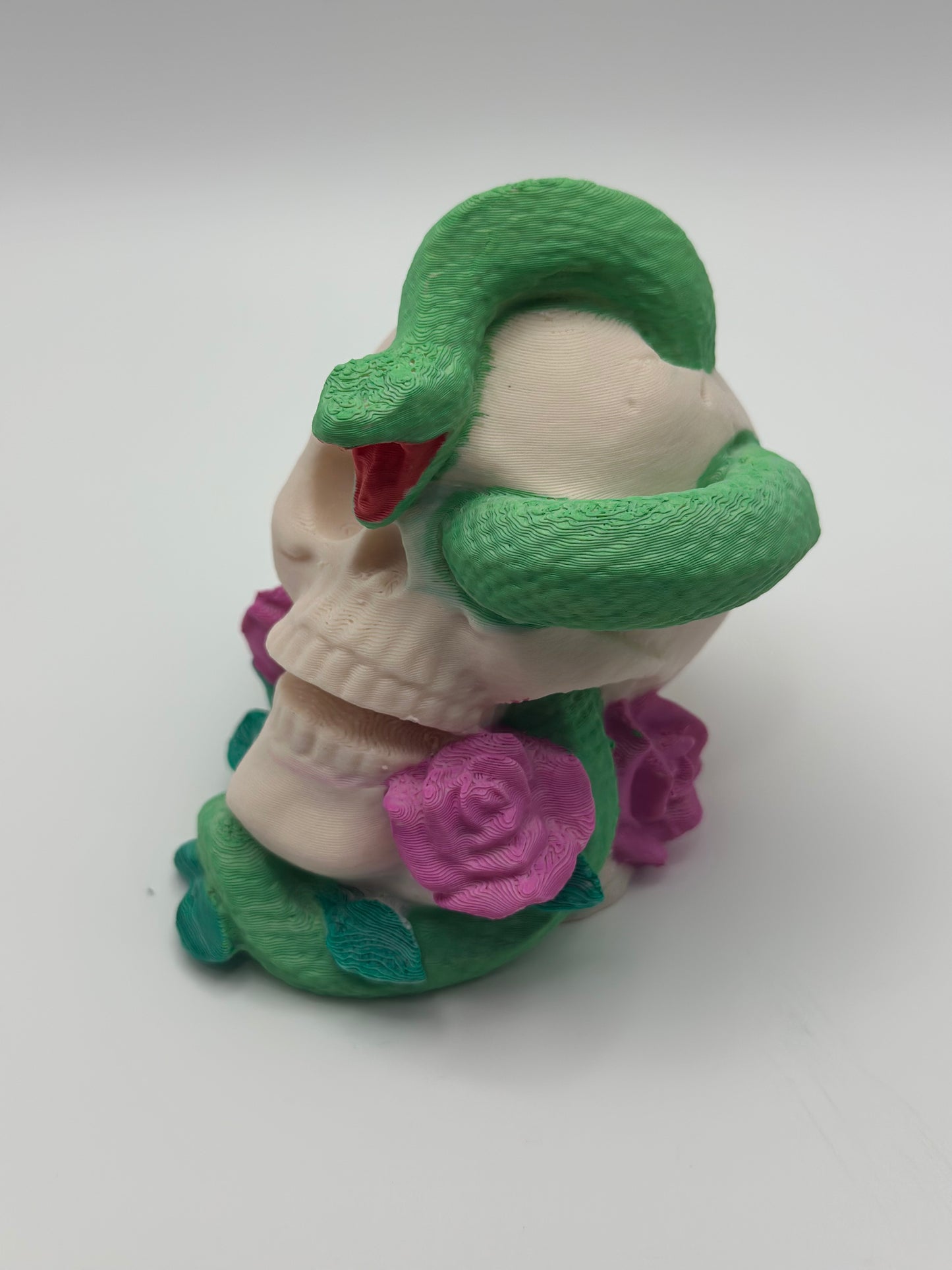 Skull with Snake & Roses