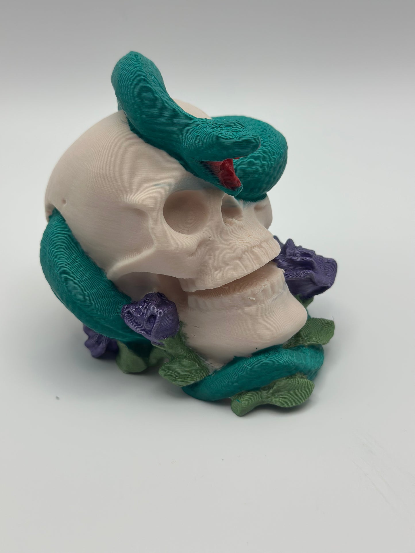 Skull with Snake & Roses