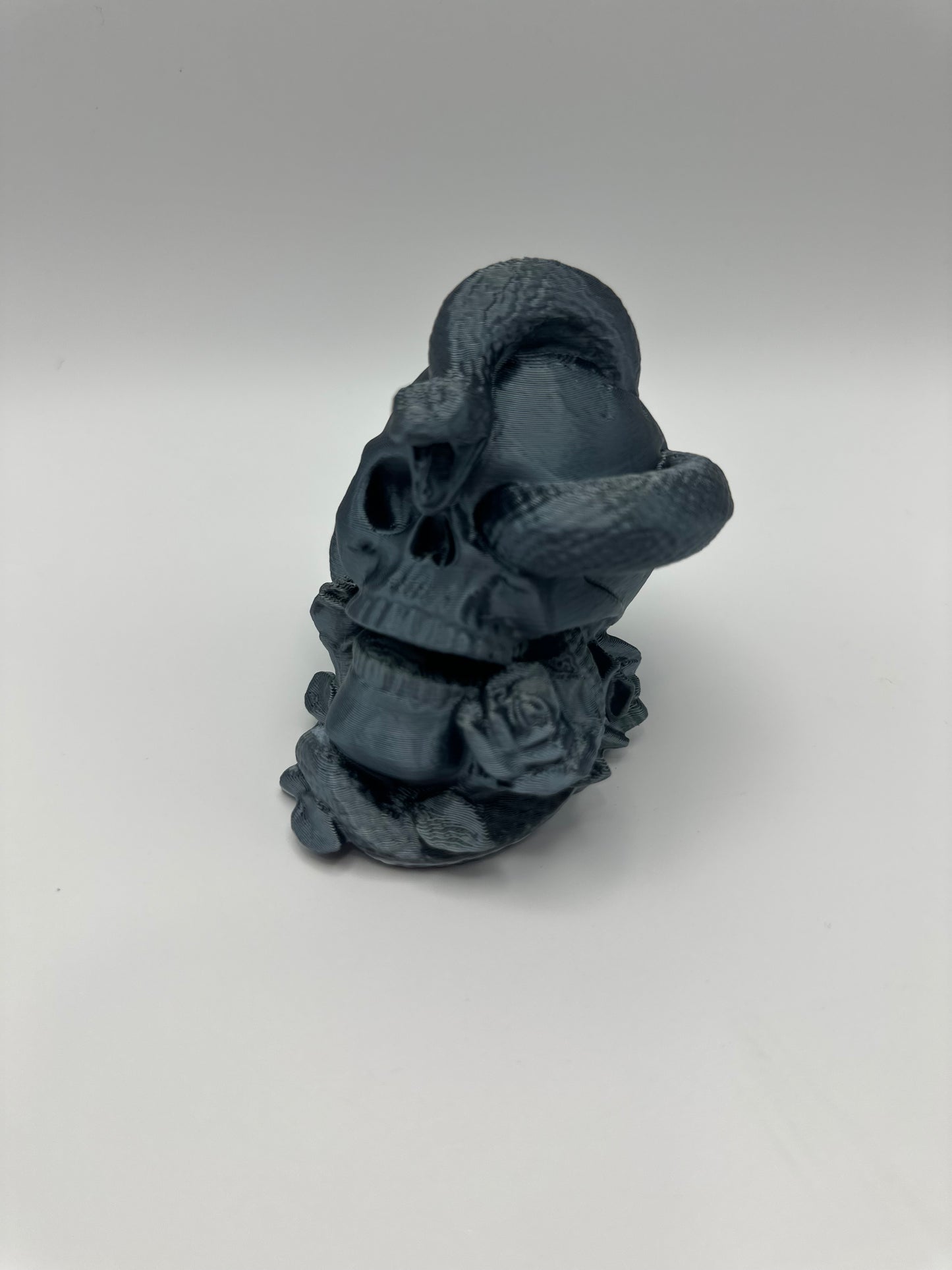 Skull with Snake & Roses