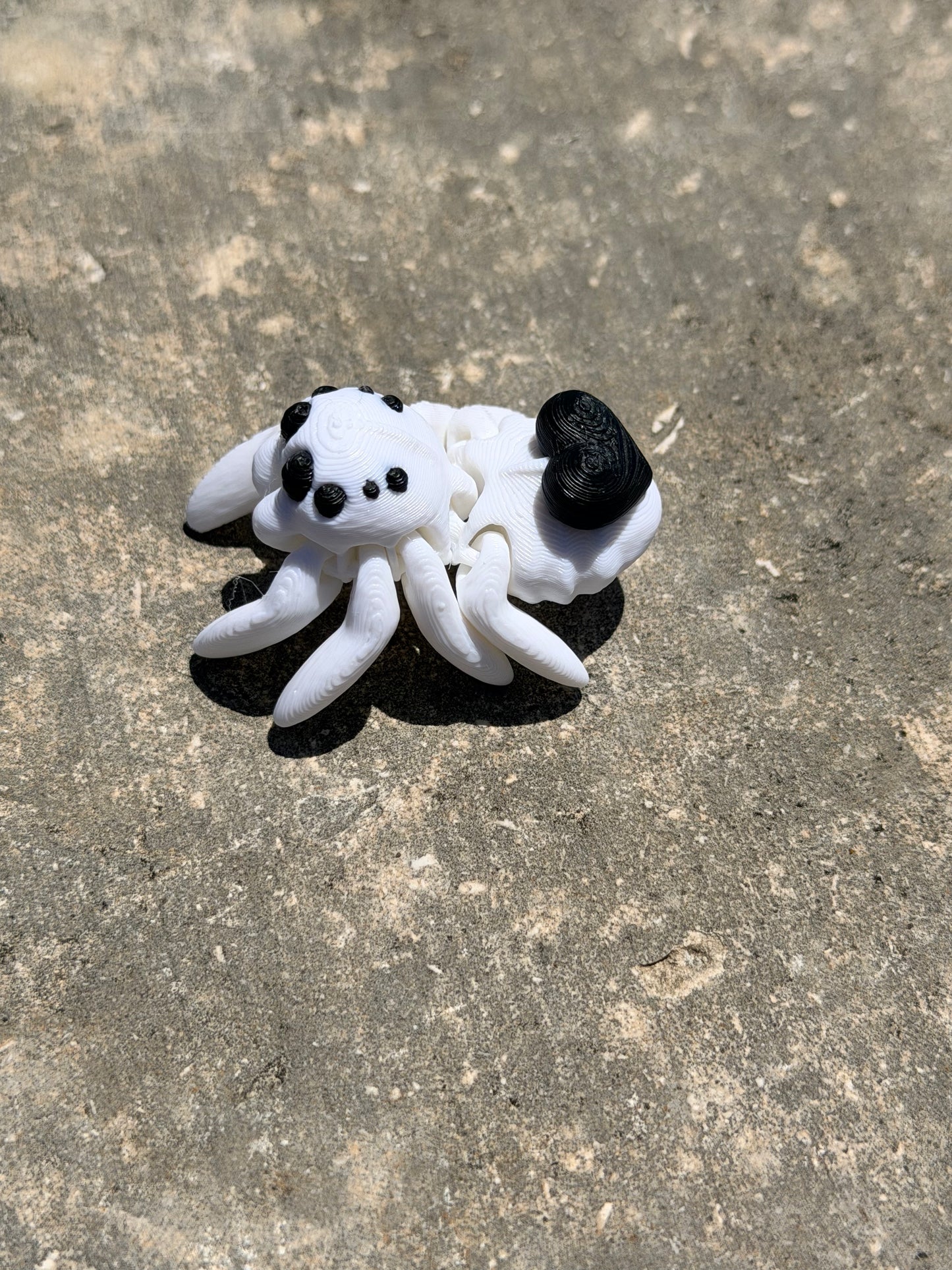 Tiny Spider