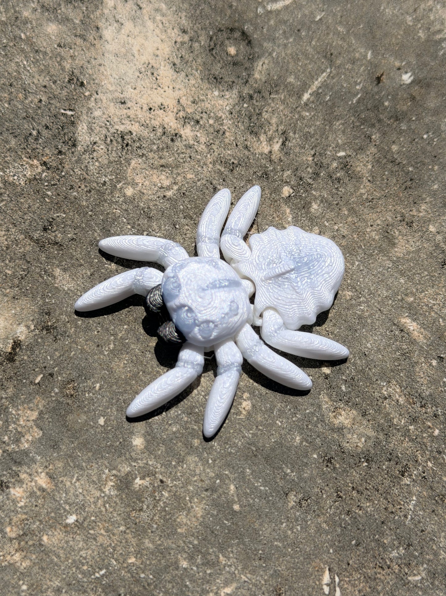 Tiny Spider