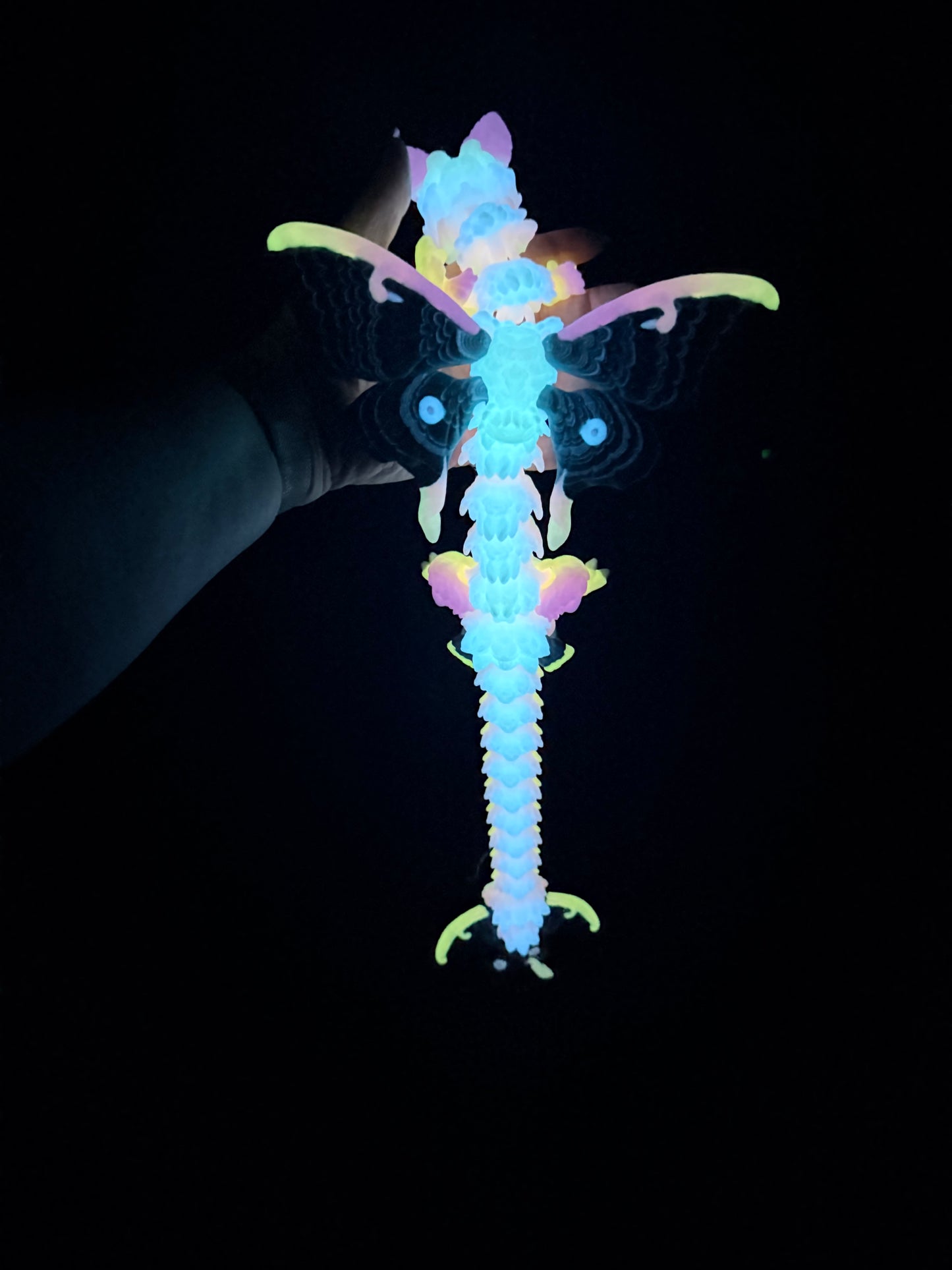 Lunar Moth Dragon