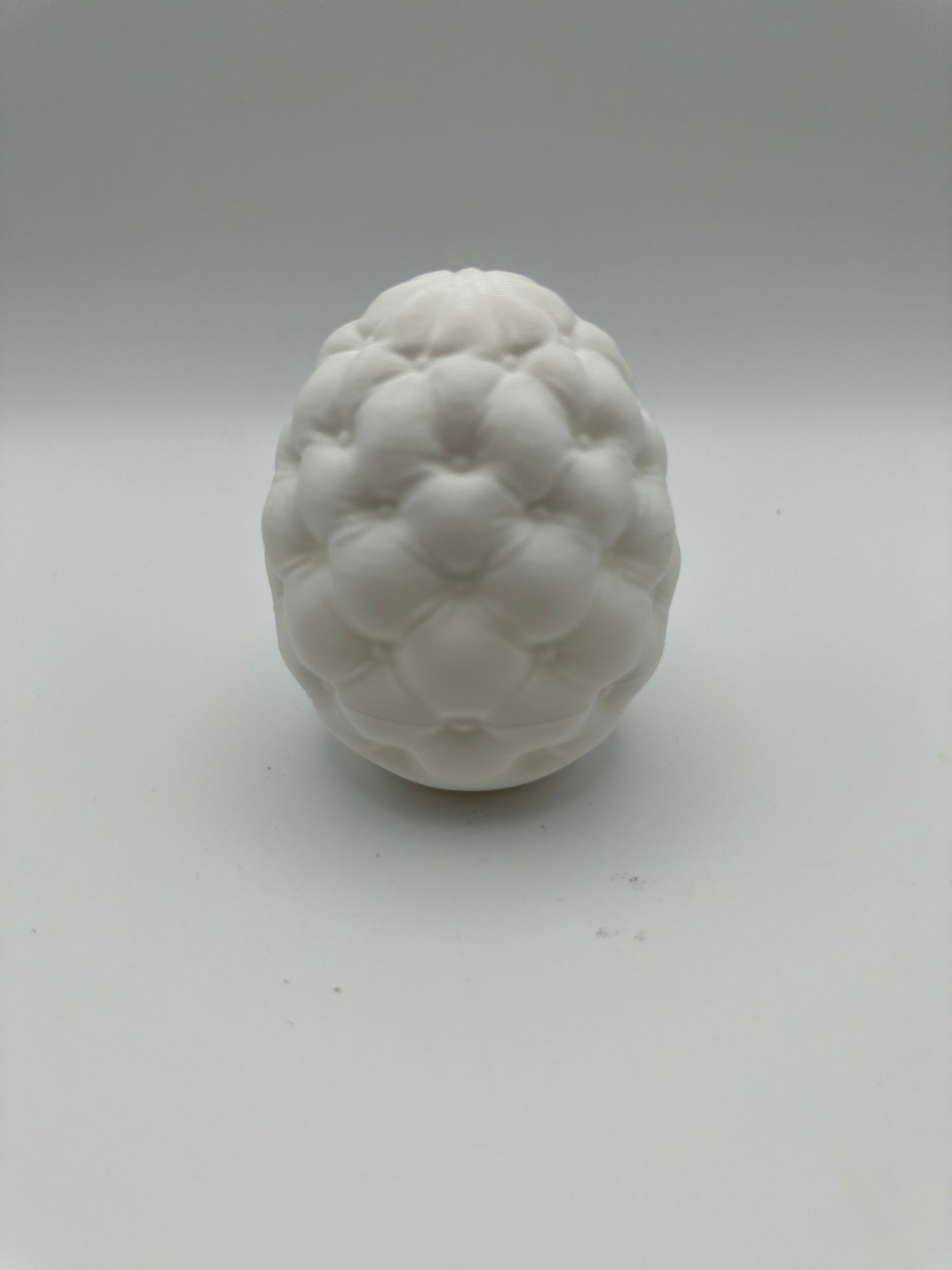 Cushioned Egg Container