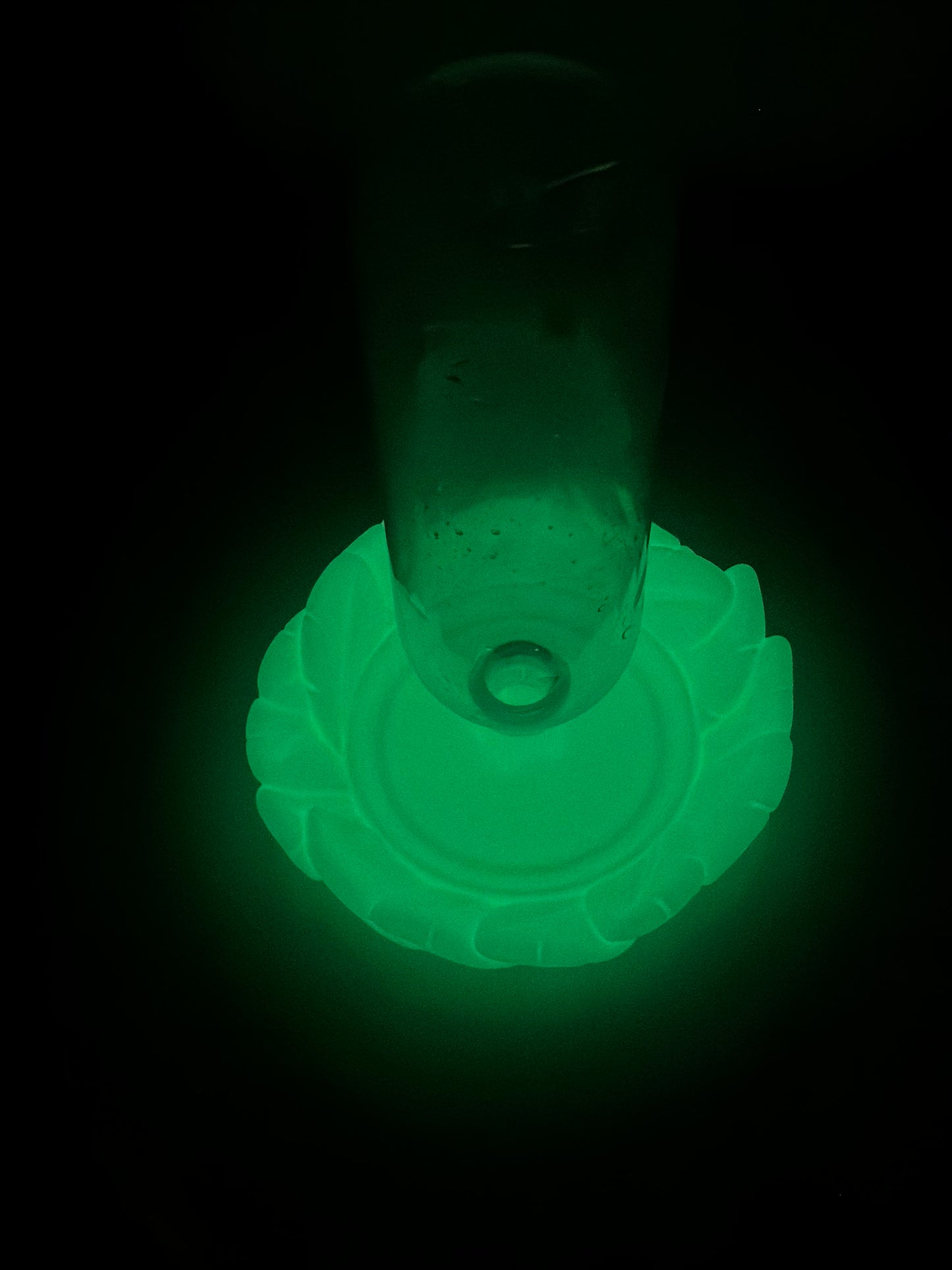 Bird Feeder in Disguise